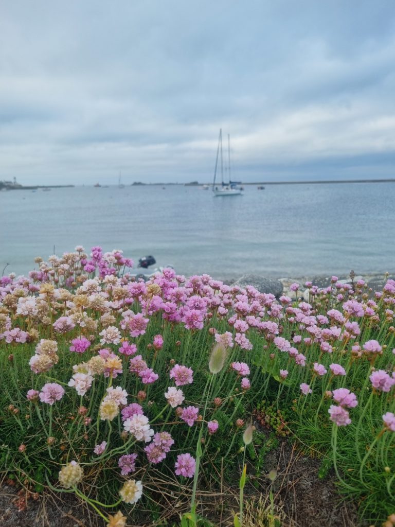 croisière en voilier de brest à lorient